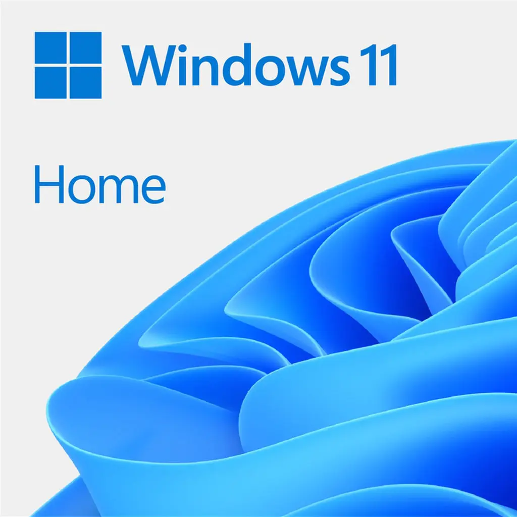 Microsoft Windows 11 Home 64-bits ESD